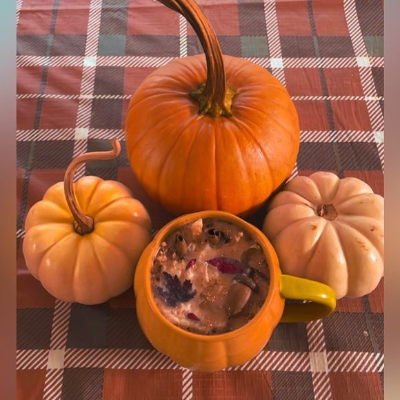 โ๐ฎ๐บ๐ฉ๐ค๐ข๐ง โ๐ซ๐ฒ๐ฌ๐ญ๐๐ฅ ๐๐๐ง๐ข๐๐๐ฌ๐ญ๐๐ญ๐ข๐ผ๐ง ๐๐ฎ๐  โ๐๐ง๐๐ฅ๐ - Picture 3 of 13